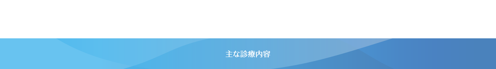 主な診療内容